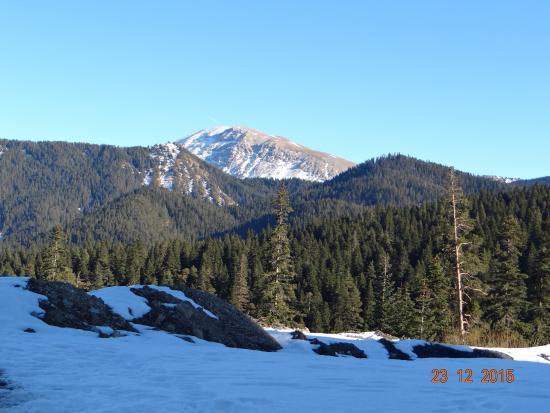 Ilgaz Dağı Milli Parkı